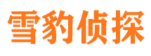 泰宁市调查公司